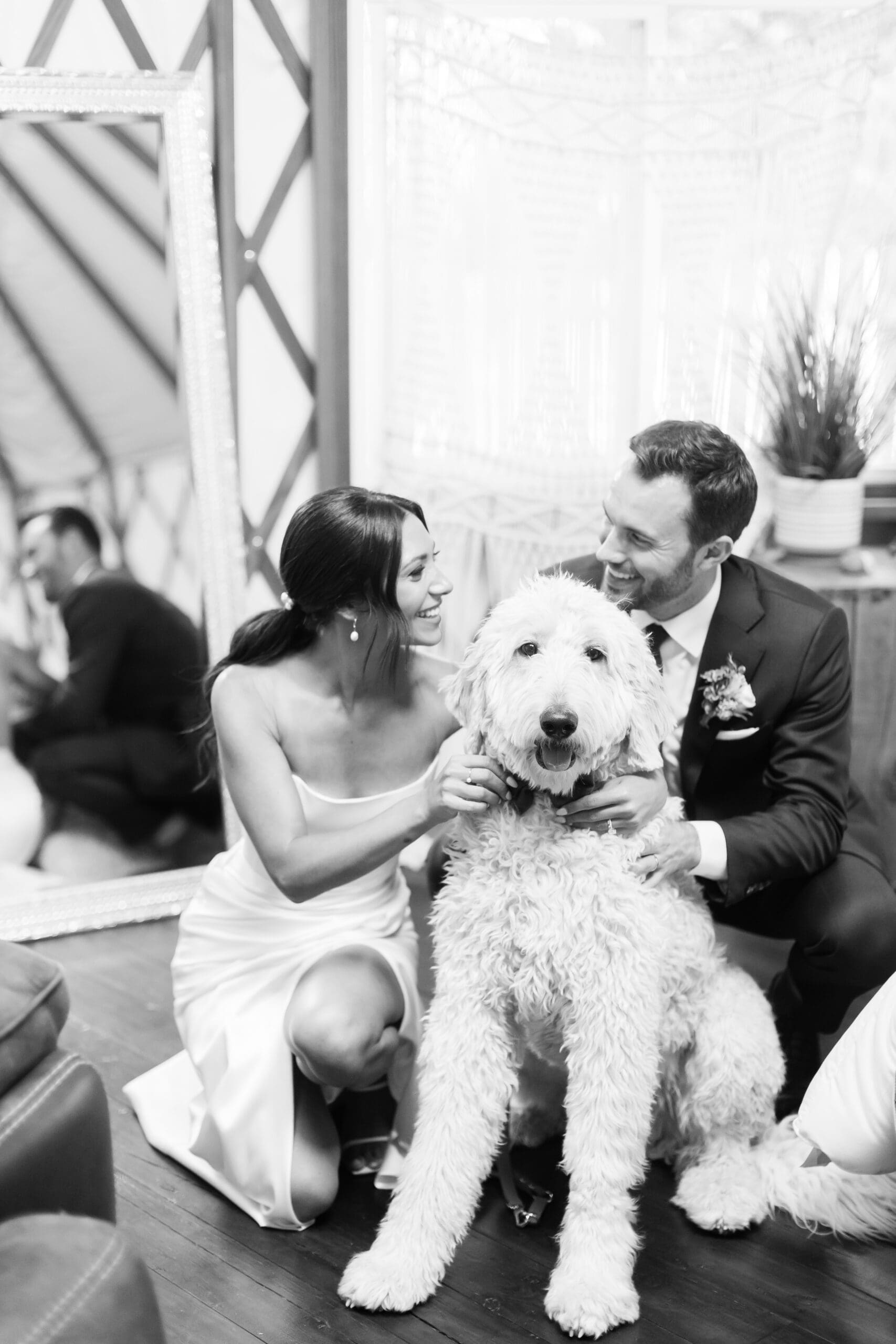 Bride and groom with dog on wedding day